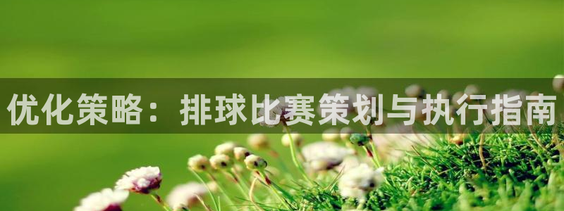 优化策略：排球比赛策划与执行指南
