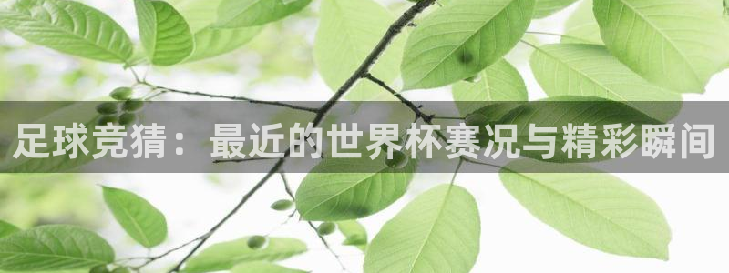  k1体育十年品牌入口：足球竞猜：最近的世界杯赛况与精彩瞬间