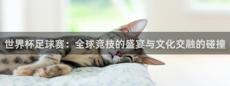 k1体育最新登录入口网页版：世界杯足球赛：全球竞技的盛宴与文