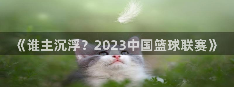  k1体育官网链接：《谁主沉浮？2023中国篮球联赛》