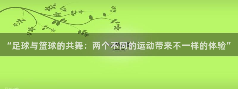  k1体育娱乐平台链接：“足球与篮球的共舞：两个不同的运动带来