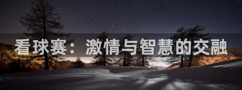  k1体育网站登录官网：看球赛：激情与智慧的交融