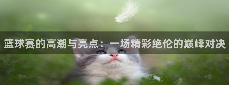  k1体育官网APP：篮球赛的高潮与亮点：一场精彩绝伦的巅峰对