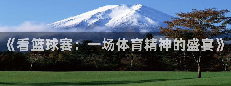  K1体育-十年品牌 值得信赖：《看篮球赛：一场体育精神的盛宴